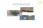 Invasive Species in the Sonoran Desert Region SPECIES IN THE SONORAN DESERT REGION Invasive species are altering the ecosystems of the Sonoran Desert Region. Native plants have been