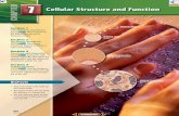 Cellular Structure and Function - PC\| Chapter 7 â€¢ Cellular Structure and Function Section 7.1 Objectives Relate advances in microscope technology to discoveries about cells.