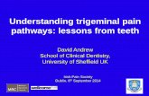 Understanding trigeminal pain pathways: lessons from … · Understanding trigeminal pain pathways: lessons from teeth ... (MS, tumours) Common . Rarer . ... occular exposure to UV