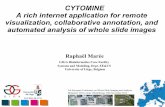 CYTOMINE A rich internet application for remote ...tigacenter.bioquant.uni-heidelberg.de/tl_files/tigacenter/workshops... · • Whole-slide scanners to convert glass slides into