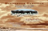 Thursday, March 11, 2010 - Stevenson Angus · Thursday, March 11, 2010 Starting at 12:00 Noon (MDT) 110 Full Twos and Fall Born Bulls 250 Yearling Angus Bulls 40 Two Year Old Pairs