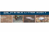 GW VISIBLE LITTER AUDIT - Sustainability at GW · GW Visible Litter Audit . ... Recycling Coordinator – Lead Author and Project Manager . ... landscapes the firsttwo hours of the