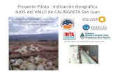 Proyecto Piloto : Indicación Geográfica AJOS del VALLE de ... · • Un proyecto de los productores de AJOS en el Valle de Calingasta, ... con minerales en suelo ... Mejorar la