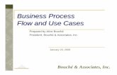 Business Process Flow and Use Cases - We Deliver Valuewedelivervalue.com/images/BPRE_UseCases.pdf · Business Process Flow and Use Cases ... • Use cases are part of the Rational