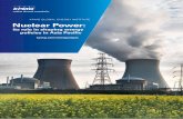 KPMG GLOBAL ENERGY INSTITUTE Nuclear Power GLOBAL ENERGY INSTITUTE Nuclear Power: ... the Fukushima accident and the ... These governments face