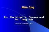 [PPT]MDSC 675 Bioinformatics for the Biologistnet.icgeb.org/course/2017/materials/06/Trieste_RNA_Seq.ppt · Web viewRNA-Seq Dr. Christoph W. Sensen und Dr. Jung Soh Trieste Course