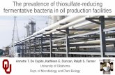 The prevalence of thiosulfate-reducing fermentative ... prevalence of thiosulfate-reducing fermentative bacteria in oil ... OU Biocorrosion ... The prevalence of thiosulfate-reducing
