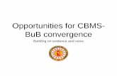 Opportunities for CBMS- BuB convergence - PEP menu of BuB projects per agency DA •Infrastructure Support to Agriculture and Fisher Production DENR •National Greening Program DEPED