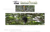 TOURS - Sunparakeet 2014rupicola.net/.../uploads/2014/10/TOURS-Sunparakeet-2014R.pdf• White-winged Potoo • Crested Doradito • Bearded Tachuri • Sharp-tailed Ibis • Green
