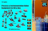 Process & Instrumentation Valve Equipment for Oil & Gas · 1 Introduction Process & Instrumentation Valve Equipment for Oil & Gas. ’s flow control technologies are state of the