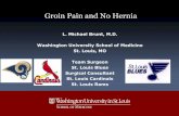 Groin Pain and No Hernia - Just another WordPress of Minimally Invasive Surgery Groin Pain and No Hernia â€¢ Differential diagnosis â€¢ Diagnostic evaluation â€¢ Groin