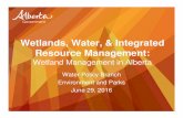 Wetlands, Water, & Integrated Resource Management · Wetlands, Water, & Integrated Resource Management: ... – Wetlands as wasteland ... minimizing impact and maximizing return on