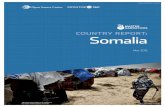 COUNTRY REPORT: Somalia - Public Intelligenceinfo.publicintelligence.net/OSC-SomaliaMasterNarratives.pdfMaster Narratives Country Report / Somalia / Executive Summary UNCLASSIFIED