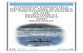 COMMON PARASITES, DISEASES AND INJURIES OF FRESHWATER ...€¦ · 1 COMMON PARASITES, DISEASES AND INJURIES OF FRESHWATER FISHES IN THE NORTHWEST TERRITORIES AND NUNAVUT by D.B. Stewart