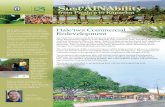 Sust‘ÄINAbility - Kamehameha Schools Hale‘iwa Commercial Redevelopment project encompasses commercial properties ... manager of Kawailoa Plantation. ... Located next to Aoki Shave