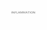 Inflammation - ava.org.af · Chronic proliferative pericarditis . ... Morphology of Inflammation . Time course of inflammation . What's the character of the inflammation? Focal Locally