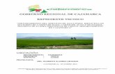 GOBIERNO REGIONAL DE CAJAMARCA - … · gobierno regional de cajamarca expediente tecnico “mejoramiento del servicio de agua para riego en los ... (13 bm de puentes y un bm de badén),