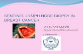 SENTINEL LYMPH NODE BIOPSY IN BREAST CANCER LY… · SENTINEL LYMPH NODE BIOPSY IN BREAST CANCER. ... Beitsch P, et al. Locoregional recurrence after sentinel lymph node dissection
