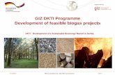 GIZ DKTI Programme Development of feasible biogas projects · Structure of the presentation Milica Vukadinovic, GIZ DKTI programme 1. ... EEG 2009 EEG 2012 EEG 2014. Seite 10 139