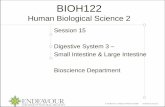 BIOH122 Human Biological Science 2 · BIOH122 Human Biological Science 2 ... o Absorption and Faeces Formation in the Large Intestine ... o Defaecation: The elimination of faeces