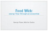 food web - Mrs Bursk's Science Class · Food Web: energy flow through an ecosystem Energy Flows, Matter Cycles