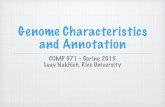Genome Characteristics and Annotation - Rice …nakhleh/COMP571/Slides-Spring2015/...* Bacterial promoters typically occur immediately before the position of the transcription start