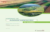 AGROFORESTRY - Food and Agriculture Organization is a system of land management that ... Introduction While agroforestry principles and practices ... The main objectives of this study