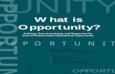 What is Opportunity? - IHEP is Opportunity? Defining, Operationalizing, and Measuring the Goal of Postsecondary Educational Opportunity A CONCEPT PAPER Prepared by The Institute for