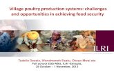 Village poultry production systems: challenges and opportunities …€¦ ·  · 2015-02-17Village poultry production systems: challenges and opportunities in achieving food security