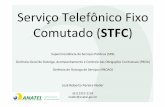 Serviço Telefônico Fixo Comutado ( STFC · Brasil Telecom (Oi) -Região II: Modalidades Local e Longa Distância Nacional; Telesp -Região III: Modalidades Local e Longa Distância