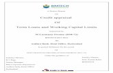 Credit appraisal Of Term Loans and Working Capital Limitsdocshare03.docshare.tips/files/17030/170300792.pdf · Summer Project Certificate ... Term loans and working capital limits