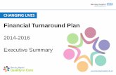 Financial Turnaround Plan - Harvey Nash – Global ... Turnaround Plan; and – review and revise the governance structure, mindful of the issues above subject to external support.