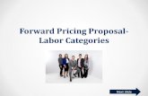 Forward Pricing Proposal- Labor Categories - DoD-IG · Forward Pricing Proposal-Labor Categories . ... follow-on contract covering a base and 2 option ... labor category fixed rates