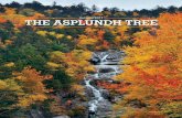 Autumn 2017 THE ASPLUNDH TREE · THE ASPLUNDH TREE Autumn 2017 ON THE COVER Yellow, orange and red autumn leaves make a brilliant contrast to the dark evergreens along a waterfall