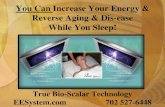 You Can Increase Your Energy & Reverse Aging & Dis …energycenterri.com/images/eeslr.pdf · You Can Increase Your Energy & Reverse Aging & Dis-ease While You Sleep! True Bio-Scalar
