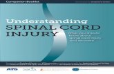 Table of Contents - spinalinjury101.org Cord Injury 101 DVD... · Spinal Cord Injury: Basic Facts ... Here are some basic anatomy facts: nThe brain is surrounded by the skull. nThe