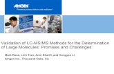 Validation of LC-MS/MS Methods for the Determination of ... · Validation of LC-MS/MS Methods for the Determination of Large Molecules: Promises and Challenges ... Presentation Outline