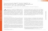 Peroxisomal Atg37 binds Atg30 or palmitoyl-CoA to …labs.biology.ucsd.edu/subramani/documents/Nazarko_Suresh9.pdf · Palmitoyl-CoA competes with Atg30 for Atg37 binding. ... Therefore,