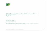BCS Foundation Certificate in User Experience Syllabus V1 · &rs\uljkw %&6 3djh ri %&6 )rxqgdwlrq &huwlilfdwh lq 8vhu ([shulhqfh 6\oodexv 9huvlrq -dqxdu\ *xlgholqhv iru $ffuhglwhg