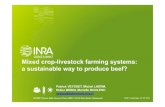 Mixed crop-livestock farming systems: a sustainable …old.eaap.org/Previous_Annual_Meetings/2014Copenhagen/Papers/...advantages and potential gains ... integration of crop and livestock