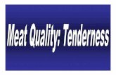 Meat TendernessMeat Tenderness - University of Kentucky · Meat TendernessMeat Tenderness • #1 Quality Concern#1 Quality Concern • #1 Palatability Concern for Consumers • Costs