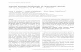 Impaired postnatal development of hippocampal …pubman.mpdl.mpg.de/pubman/item/escidoc:599418/component/escidoc:...Impaired postnatal development of hippocampal ... (reelin staining,