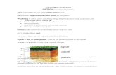 Soil Study Guide · Web viewSoil and Plant Study Guide Soil Test on _____ Soil is important because many plants grow in soil. Soil provides support and nutrients (food) for the plants.
