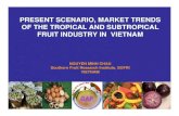 PRESENT SCENARIO, MARKET TRENDS OF THE … 2/PRESENT SCENARIO, MARKET... · present scenario, market trends of the tropical and subtropical fruit industry in vietnam. nguyen minh