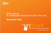 Blaine Mincey Sr. Middleware Solutions Architect, Red Hat Enterprise Middleware • World's leading open source middleware ... Rollback & History Yes (App Servers, Applications, Configs,