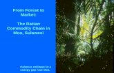 From Forest to Market: The Rattan Commodity Chain in … forest to market.pdf · Indonesia, in the past. ... Rattan processing includes boiling cane in oil (diesel or palm oil) ...