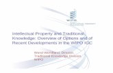 Intellectual Property and Traditional Knowledge: … Property and Traditional Knowledge: Overview of Options and of ... TKDL a practical complement to ... $ASQWendland TKDL March 23