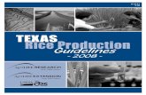 TEXAS Rice Production Guidelines - Texas A&M Universityvarietytesting.tamu.edu/files/rice/varietyfiles/2008_Rice... · Funding for the 2008 Texas Rice Production Guidelines was provided