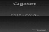 Gigaset C610/C610A / BRD / A31008-M2305-B101-1-19 / … · 2 Displaysymbole Gigaset C610/C610A / BRD / A31008-M2305-B101-1-19 / overview.fm / 21.04.2011 Version 4, 16.09.2005 Displaysymbole
