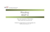 Routing: BGP-4 - Área de Ingeniería Telemática - UPNA · PDF fileTecnologías Avanzadas de Red Área de Ingeniería Telemática Routing: BGP-4 Area de Ingeniería Telemática Grado